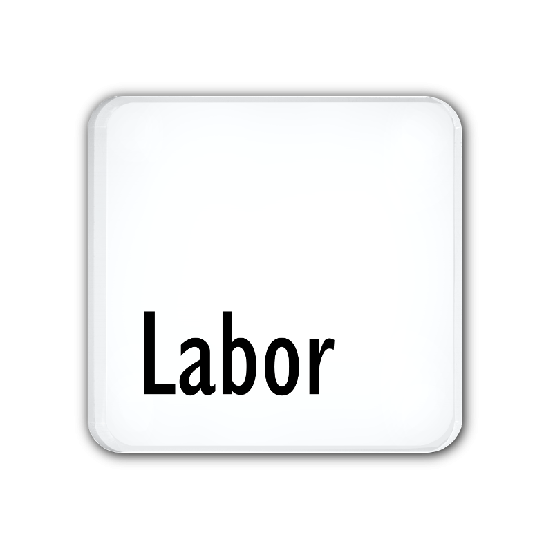 Labor