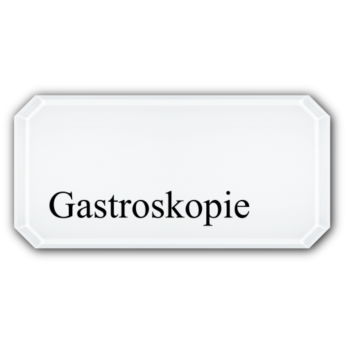 Gastroskopie