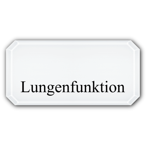 Lungenfunktion