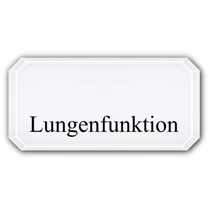 Lungenfunktion